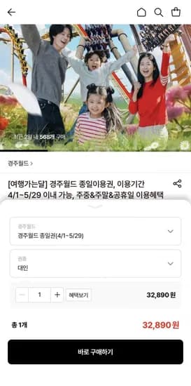 경주월드 대인 종일이용권