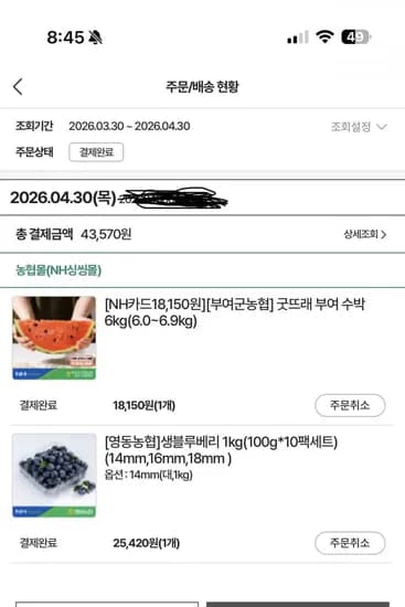 영동농협 블루베리 kg (100g x 10) (27120원)1