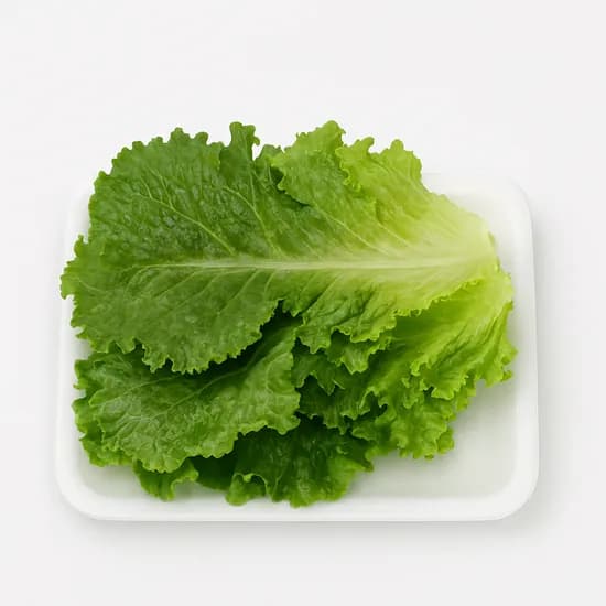 로메인청상추1kg(4,900원/무배)