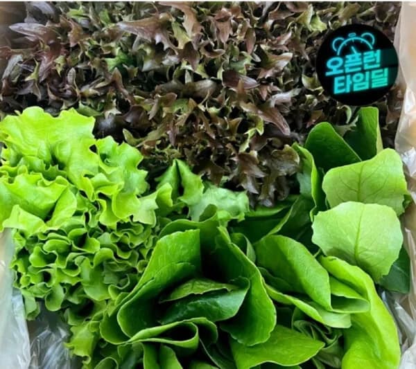 샐러드채소 1kg (4,420원/무료)