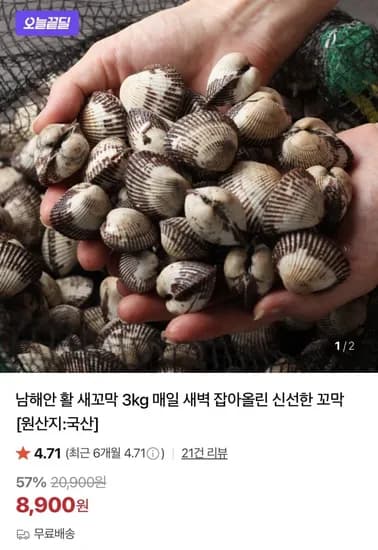 남해안 활 새꼬막 kg 소 (8,900원/무료)3