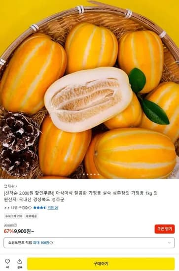 성주참외 가정용 5kg