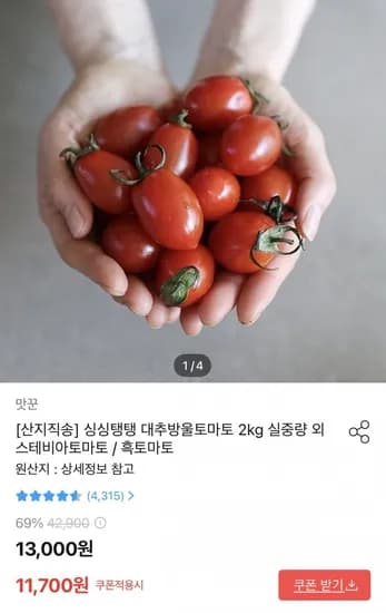 스테비아 방울토마토 2kg (11,700원/무료)