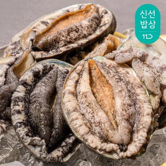 완도 활 전복1kg 9-10미 특대전복(19,250원/무료배송)