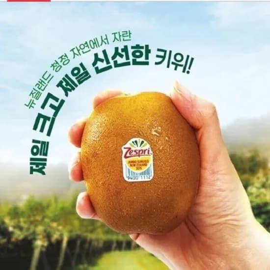 제스프리 골드키위 점보 20과 3.1kg (26,730원/무료)