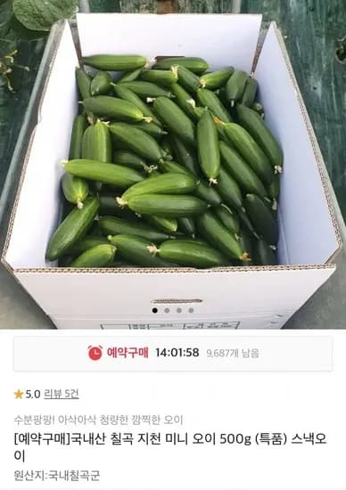 국내산 미니오이 500g 특품 (3,440원/무료)