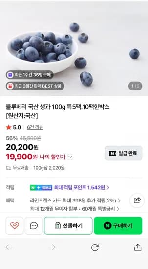 국산 블루베리 생과 00g 특 5팩 (19,900원/무료)1