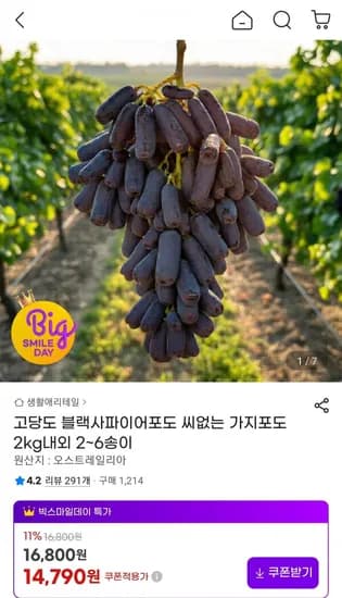 고당도 블랙 사파이어 포도 2kg (14,790원/무료)