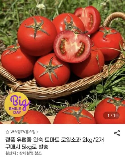 완숙 토마토 로얄소과 5kg / 1kg 2,000원대 (13,550원/무료)
