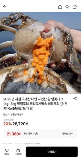 국내산 태안 자연산 활 암꽃게 대/중 1kg 3-4미 (21,380원/무료)