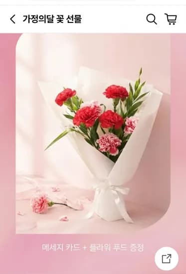 카네이션 화분 세트 꽃배달 2pcs(35.900원/무배)