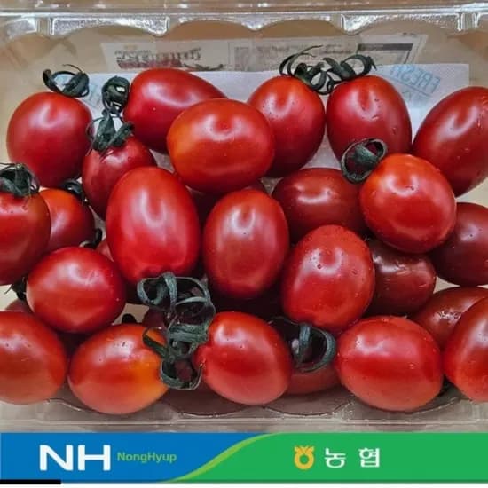 스테비아 대추방울토마토 4kg (19,940원/무료)