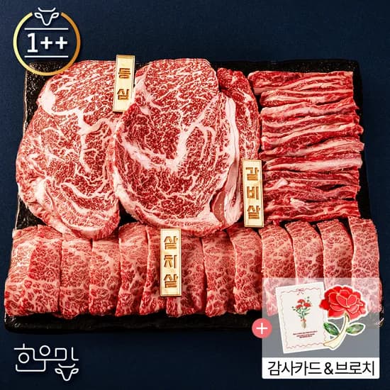 1++등급 구이용 한우 선물세트 1kg (카카오109,740원 / 무료)