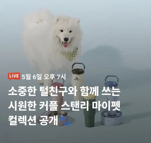 스탠리 마이펫 컬렉션 출시 펫 보울 외 텀블러 (46,000원~/무료)
