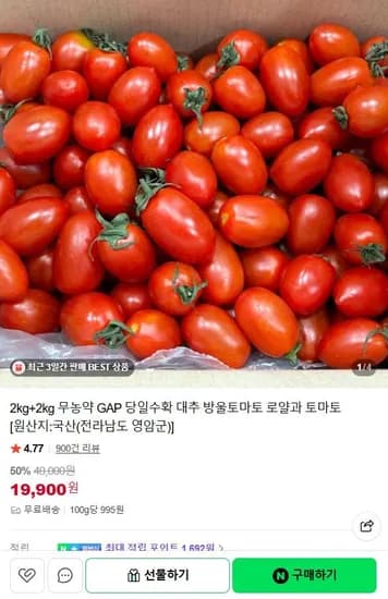 무농약 대추 방울토마토 4kg (19,900원/무료)