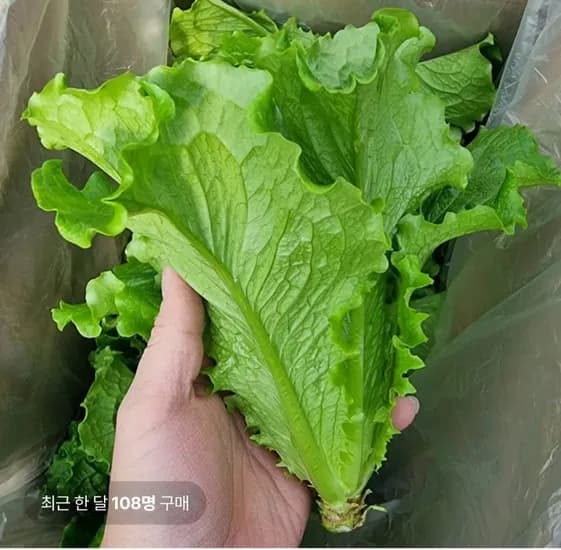 통 로메인청상추 1kg/2kg (4,000원~/무료)