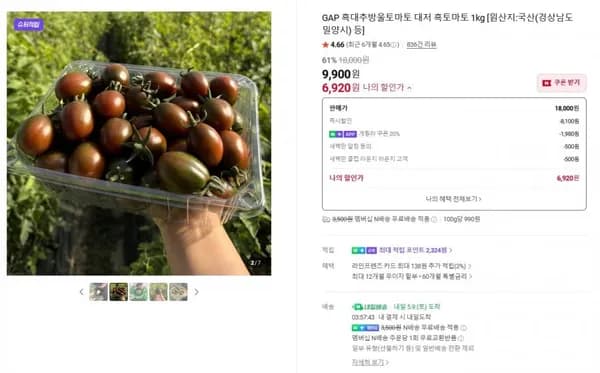 흑대추방울토마토 500g (3,70원 / 네멤무료)2