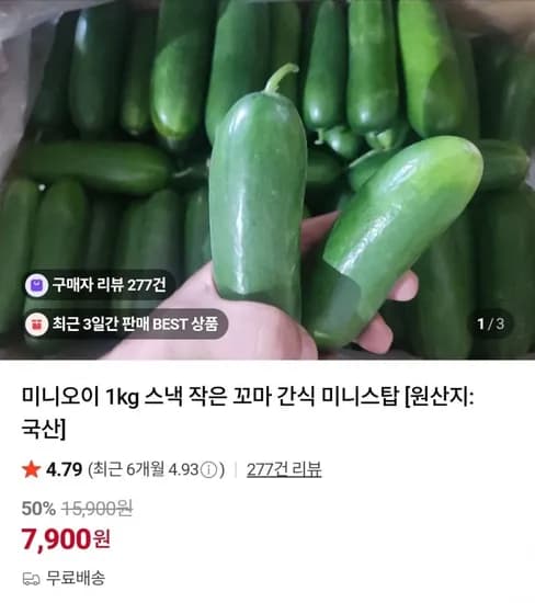 미니오이 1kg (7,900원/무료)