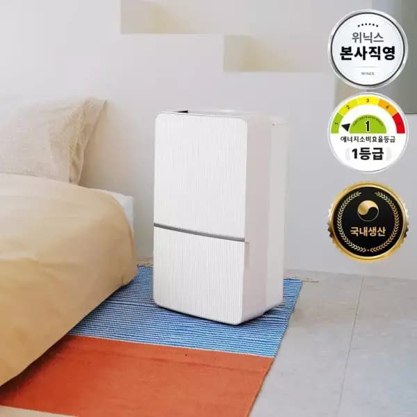 위닉스 20L 제습기 DXWE200-OEK