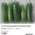 담양 미니오이 1kg