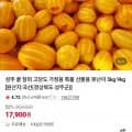 성주 꿀 참외 로얄과 다양 5kg
