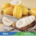 농협 참외 2kg 로얄과 외 다양 2-8과