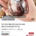 새조개 훈제 수산 자연산 특품 손질 250g