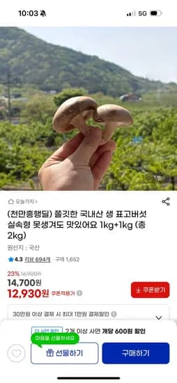 국내산 생 표고버섯 1kg+1kg 총2kg