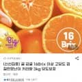 못난이 카라향 3kg 16Brix 이상
