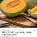 하미과멜론 3kg (9-11과)