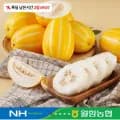 농협 성주 꿀 참외 로얄과 3kg 7-12과