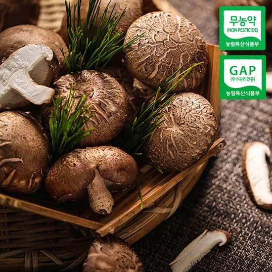 친환경 무농약 생 표고버섯 1kg
