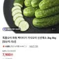 백다다기오이 2kg