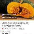 뉴질랜드 단호박 2kg