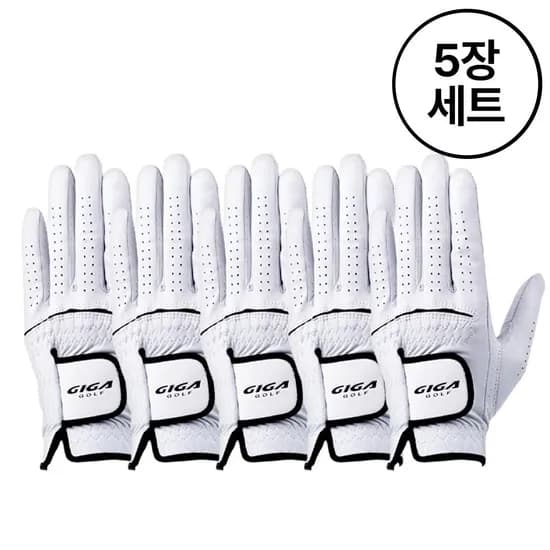 기가골프 양피장갑 남성용 GA2213 5장 세트