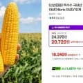 하우스 초당 옥수수 16cm 이상 10개