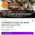 활전복 1kg 9-10미