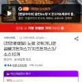 노랑 곱빼기돈까스 7개 치즈돈까스 3개 소스 10개