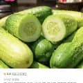 백다다기 오이 3kg 국내산