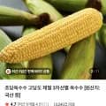 초당옥수수 5개 외 다양 스위트콘