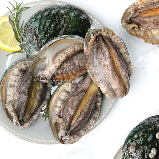 완도 활전복 왕특대 8-9미 1kg (16,380원/무료)