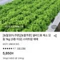 채소 모듬 1kg