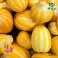 성주 꿀 참외 9kg