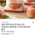 세척사과 5kg 랜덤과