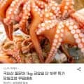 돌문어 1kg