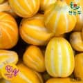 성주 꿀 참외 9kg
