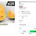 블랙망고수박 외 다양 3kg 미만 1개