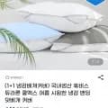 듀라론 쿨맥스 냉감 밴딩 덧베개 커버 1+1 (10,740원/무배)