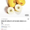 당일수확 유명산지 성주 꿀 참외 혼합과 4.5kg (2,960원/무료)1