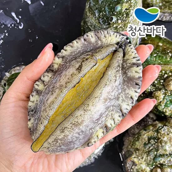 전복 1kg 6~7미 2개 25,900원, 새청무 상등급 10kg 2개 49,600원 (다양/무료)